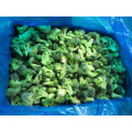 Nova safra de brócolis congelado salle quente